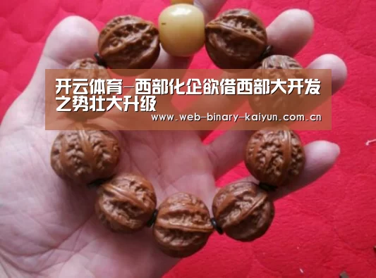开云体育