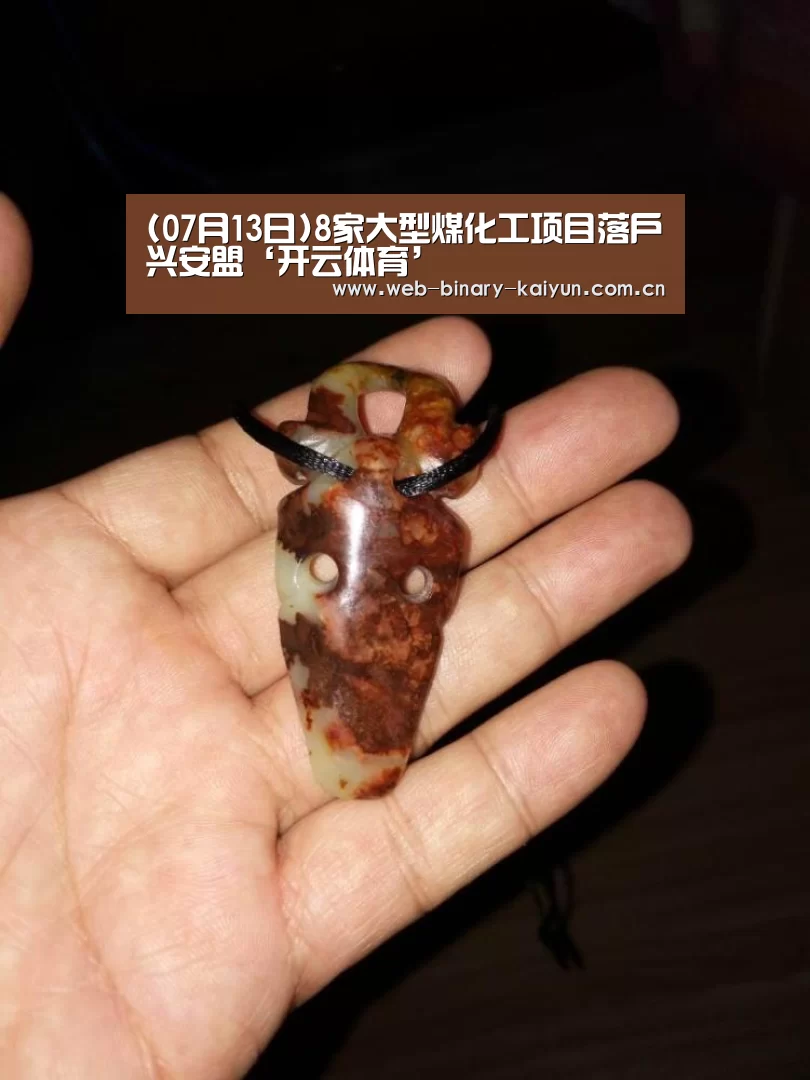 (07月13日)8家大型煤化工项目落户兴安盟‘开云体育’(图4) 开云体育