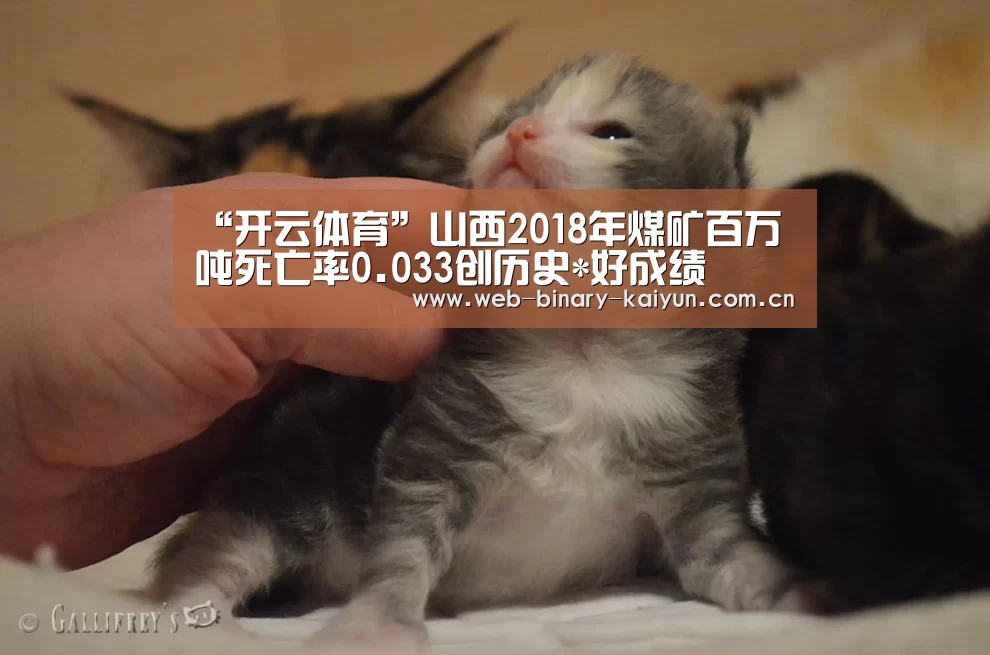 开云体育